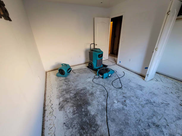 Best 24-hour water damage restoration  in Memphis, TN