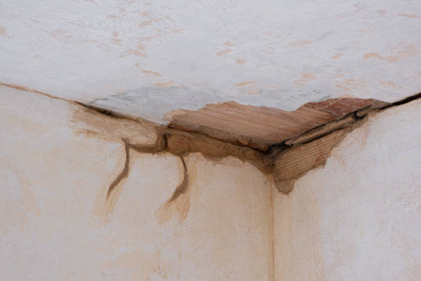 Best Local water damage restoration  in Memphis, TN