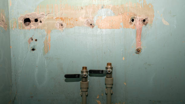 Best Water damage restoration company  in Memphis, TN