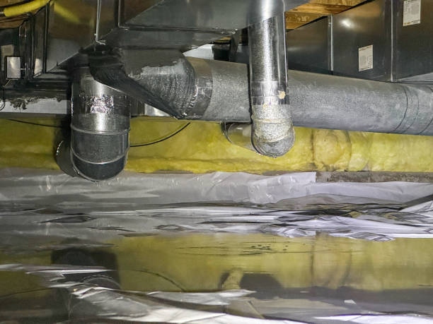 Best Flood damage cleanup  in Memphis, TN
